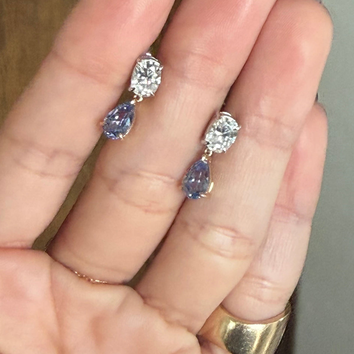 Raf Earrings in Cornflower