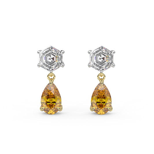 Fig Earrings in Orange